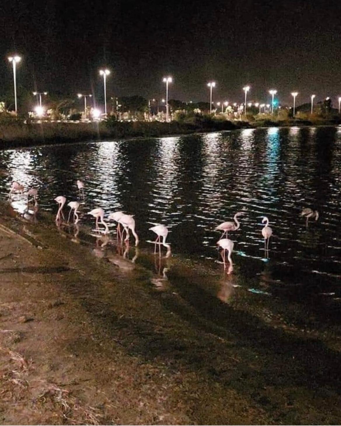 فيلا Colombohouse87 كوارتو سانتيلينا المظهر الخارجي الصورة
